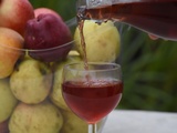 Sirop d’épluchures de pomme {recette anti gaspi}