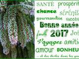 Bonne année 2017