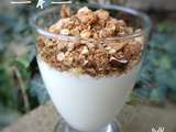 Granola maison #23