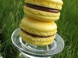 Macarons Chocolat Citron Gingembre