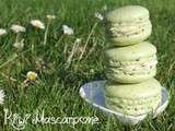 Macarons Kiwi Mascarpone