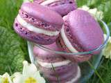 Macarons Noix Figue