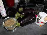 Aubergines grilles sterilisees