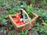 Tomates provencales ( cuisson semi-séchées)