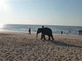 Thaïlande en famille .... notre coup de coeur (2ème partie khao lak)