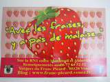 Cueillette de fraises