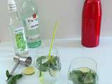 Mojito express (Easy Mojito cocktail)