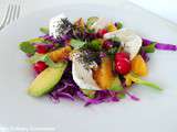 Salade de chou rouge, avocat,orange et chèvre (Red cabbage salad with avocado, orange and goat)