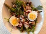 Salade roquette, haricots verts, asperges, radis, champignons, oeuf dur, roquette (Arugula salad, green beans, asparagus, radishes, mushrooms, hard boiled eg