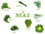 Jolis produits frais de mai ( en cours)