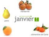 Produits frais de janvier : fruits, légumes, poissons, fromages