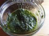 Nettle and walnut pesto, and a foraging lesson // Pesto aux orties et aux noix, et une petite leçon de cueillette