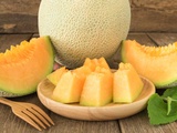 Quels sont les bienfaits du melon