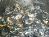 Moules à la bretonne