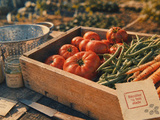 Blanchir 2 à 3 minutes, mettre en bocaux ou en cave : conserver ses légumes sans gaspillage