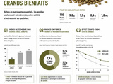 Lentilles font-elles grossir ? Analyse de leur impact réel sur votre poids