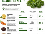 Mâche : 5 raisons de privilégier cette salade d’hiver pour votre santé