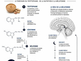 Manger du beurre de cacahuète le soir : 190 calories pour mieux dormir et récupérer