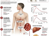 Sirop de glucose : pourquoi cet ingrédient à l’index glycémique de 99 sature votre foie