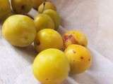 Confiture de mirabelles