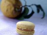 Macaron aux deux citrons