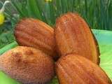 Madeleines aux zestes d'orange