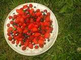 Pavlova aux fruits rouges