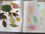 Empreintes de feuilles aux pastels