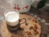 Lait d’amandes au thermomix