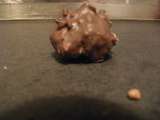 Rocher