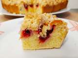 Gâteau streusel aux Prunes