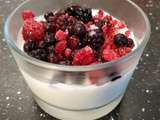 Panna Cotta aux fruits rouges