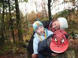 Balade en forêt, couleurs d'automne