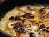 Tortilla aux endives, maroilles et cumin