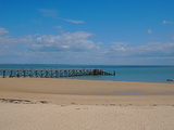 Voyage gourmand : que rapporter de Vendée