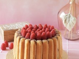 Charlotte framboises/chocolat