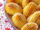 Madeleines aux tomates confites, coulommiers et spiruline