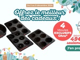 Nouvelle offre Guy Demarle: 12.25€ le moule! Du jamais vu