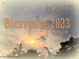 Bye Bye 2022, Bienvenue 2023