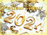 Meilleurs Voeux 2024