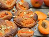 Tartelettes Abricots Noisettes