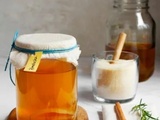 Tout savoir sur le kombucha