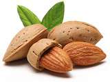 Pourquoi manger des amandes