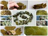 Daring Cooks : Feuilles de vignes farcies / Stuffed grape leaves