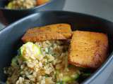 Risotto aux courgettes, tofu à l’orange / Zucchini risotto, orange baked tofu