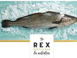 Corvina- Rex Frescamar: Le Maigre Sauvage