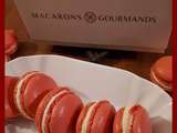 Cours de Macarons Gourmands avec Yannick Lefort