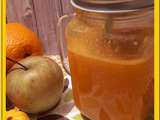 Jus de Potimarron, pommes et Orange