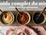 Guide complet du miso : variétés, choix et secrets japonais