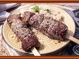 Brochettes de magret de canard